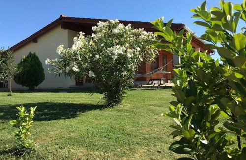 Quinta Pedro e Inês - Foto 41