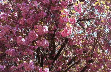 Moderne Altstadt-Ferienwohnung - Foto 32