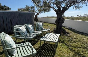 Canto da Planície - Photo 62