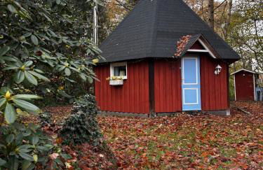 Finnish Kota - Photo 1