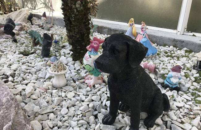 3 Bedroom Home With Private Screened Pool With Rock Waterfall Feature and Gameroom by Florida Dream Homes - Foto 41