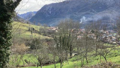 Apartamentos El Ardinal - Foto 5