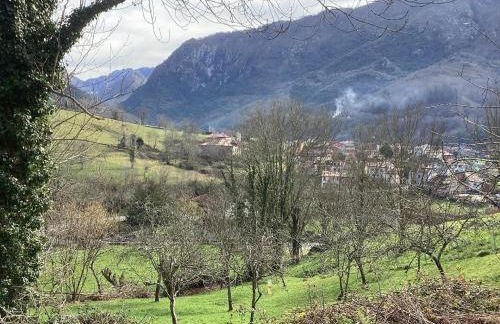 Apartamentos El Ardinal - Foto 63