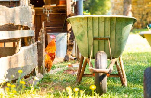 Le bon chemin Studio Stockholm - Foto 30