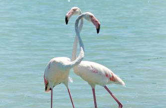 Apartment Golden Luna - Foto 45