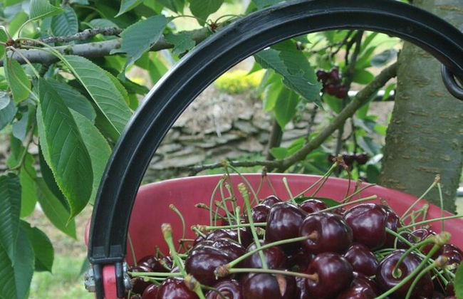 Agriturismo Bortolotti - Photo 57