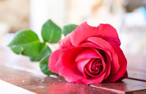 Nina Apartment - Foto 31