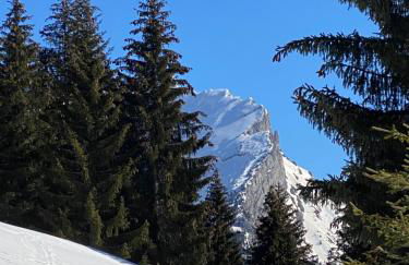 Les bouquetins - Foto 43