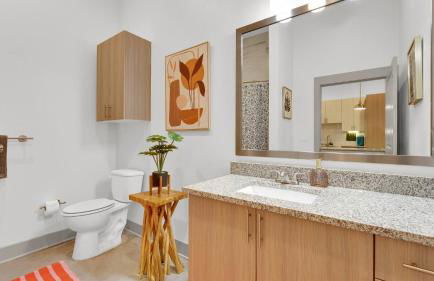 1B1B LUX 1st Flr Apt-2min to TCU+King Bed+Pool+Gym - Foto 5