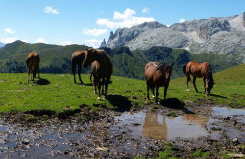 Residence Perwanger - Foto 35