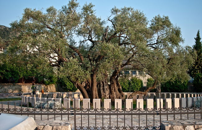 Majero Apartments - Foto 52