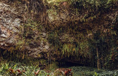 Banyan Harbor Resort - Foto 153