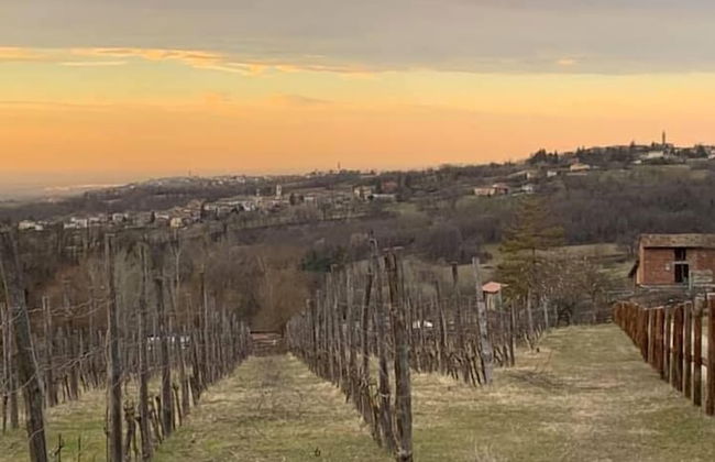 Tenuta di Cascina Diavolo dei Boschi - Foto 38