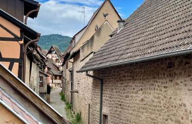 L'Adresse Studio Rempart sud - centre historique Eguisheim - Foto 16