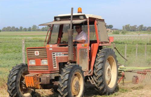 Podere Del Gesso - Foto 8