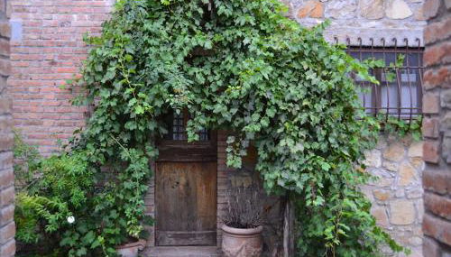 Agriturismo Borgo Santa Maria - Foto 4