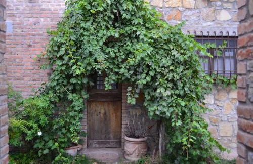 Agriturismo Borgo Santa Maria - Foto 4