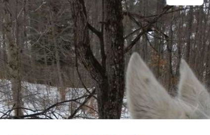 Studio sud 5 personnes superdevoluy pied des pistes - Photo 28