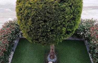 Bella Casa - Photo 43