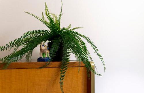 Le Nomade, Parc Montcalm et stationnement privé - Foto 18