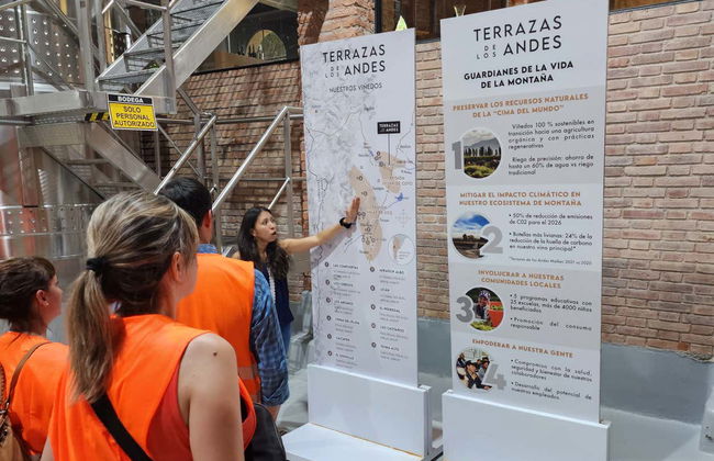 South Luján de Cuyo Wine Region Tour - Photo 12