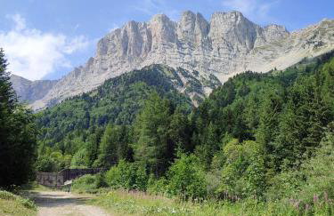 Les Cimes - La Canopée - Foto 7