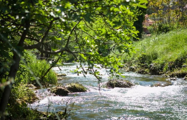 River-directly to the River - H - Photo 23