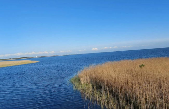 2 Person Holiday Home in Ringkobing - Photo 29