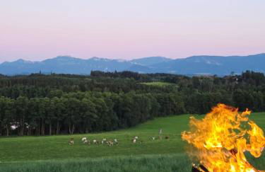 Knoglerhof am Rinser See - Foto 22