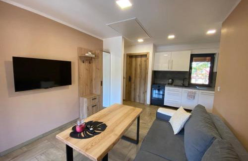 Apartamenty JENDRYCÓWKA - Foto 20