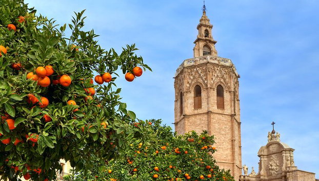 Visita Guiada por el Centro Histórico de Valencia - Foto 5
