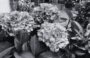 Ferienwohnung Burg Hausen - Foto 37