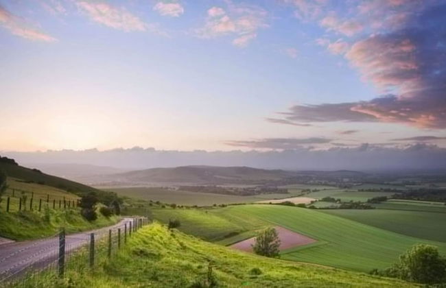 Charming Countryside Annexe Nr Goodwood - Photo 18