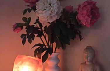 Studio & Gîte Zen de Beauval- 800 m du Zooparc - Photo 9