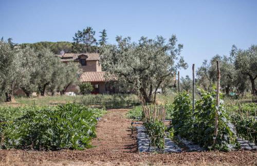 Traldi Resort - Foto 45