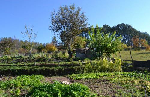 Agritur Scoiattolo - Foto 44