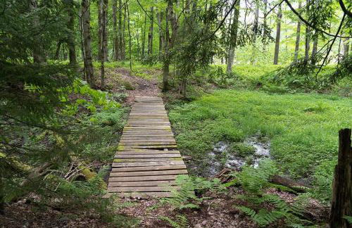 Three Cabins - Pet Friendly & Hot Tub - Foto 23