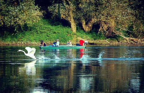 Zagreb, Kuća za odmor Swan River Holiday House - Foto 51