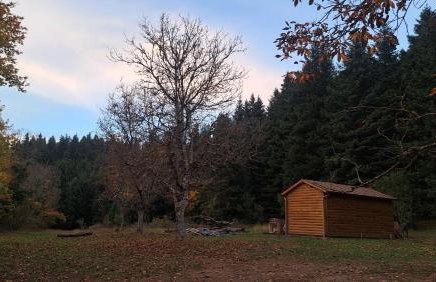 Wood Cabins by the River - for Nature Lovers - Photo 65