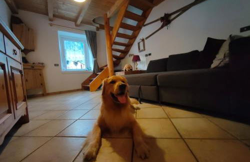 Cèsa Viosadea - Foto 8