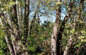 Onar Camper - Photo 31