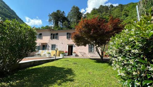 dream house - Foto 1, Garden