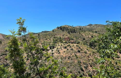 Cortijo Vacas Gordas Villas - Foto 47