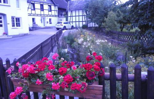 Rusti Deifeld - Foto 24