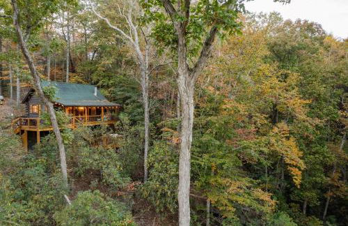 Log Cabin with Mountain View and Privacy - Foto 49