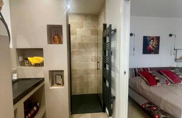 Maison de Plain Pied, 65 m2, Hyper Centre, Terrasse 30m2 - Foto 12