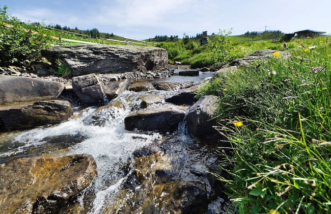 Apartment in Damuls Near Ski Slopes - Photo 32