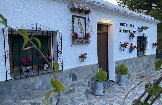 Finca Las Fuentezuelas - Photo 38