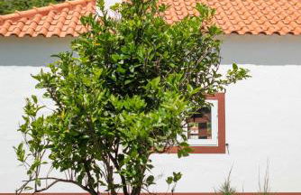 Casa do Bago - Foto 10