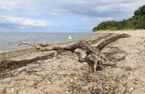 Naturidyll - Photo 14